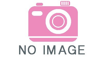 no_image_OK