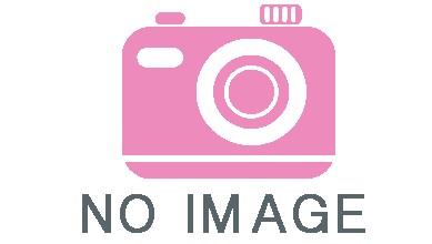 no_image_OK